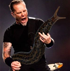 Meet your Posher, Anthony